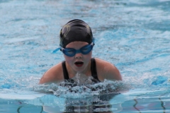 db_Haselunne_IMG_1359