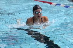 db_Haselunne_IMG_1369