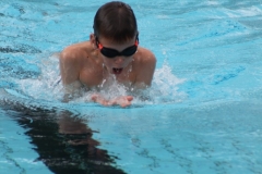 db_Haselunne_IMG_1428