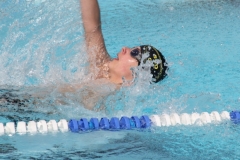 db_Haselunne_IMG_1480