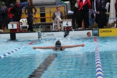 db_Haselunne_IMG_1528