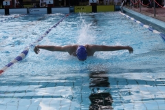 db_Haselunne_IMG_1541