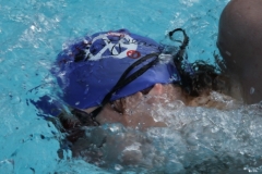 db_Haselunne_IMG_1543