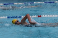 db_Haselunne_IMG_1579