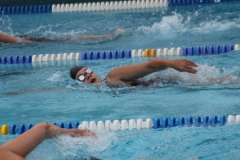 db_Haselunne_IMG_1582