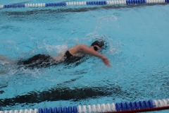 db_Haselunne_IMG_1594