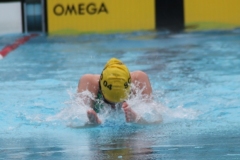 db_Haselunne_IMG_1605