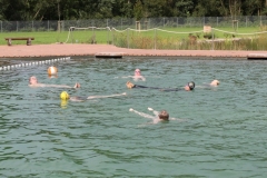 db_Sommerfest_IMG_2007__25_3