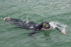 db_Sommerfest_IMG_2007__31_3