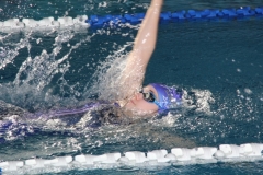 db_Teutobirger_Wald_IMG_2371