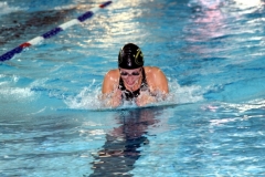 db_Teutoburger_Wald_IMG_2295