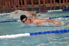 db_Teutoburger_Wald_IMG_2301