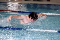 db_Teutoburger_Wald_IMG_2321