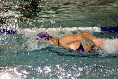 db_Teutoburger_Wald_IMG_2343