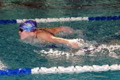 db_Teutoburger_Wald_IMG_2360