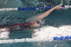 db_Teutoburger_Wald_IMG_2416