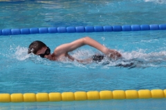 db_Bad_Essen_IMG_31701