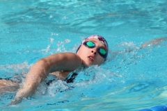 db_Bad_Essen_IMG_31741