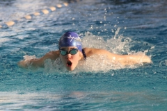 db_Bianca_DMS_IMG_2763