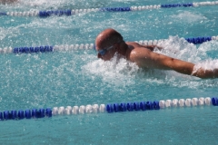 db_Diepholz_IMG_3566