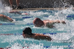 db_Diepholz_IMG_3569