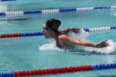 db_Diepholz_IMG_3570