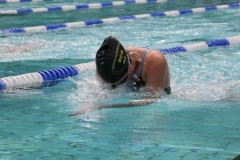 db_Diepholz_IMG_3708