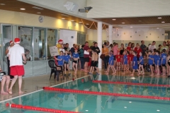 db_Nikolaus_Schwimmfest_IMG_4206