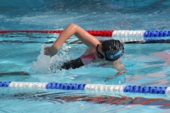 db_Sommerschwimmfest_2012_IMG_3404