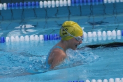 db_Sommerschwimmfest_2012_IMG_3463