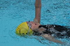 db_Sommerschwimmfest_2012_IMG_3487