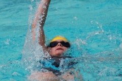 db_Sommerschwimmfest_2012_IMG_3501