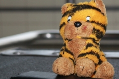 db_Douwel_Cup_IMG_4390