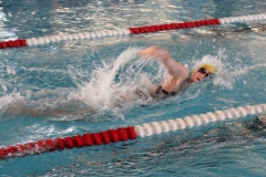 db_Glandorf_IMG_65141