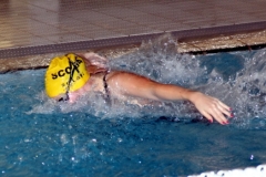 db_Glandorf_IMG_66021