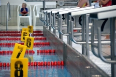 db_Nikolaus_Schwimmfest_2013_Nettebad_IMG_1304