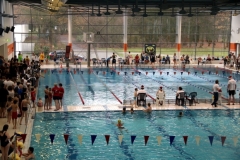 db_Nikolaus_Schwimmfest_2013_Nettebad_IMG_1330