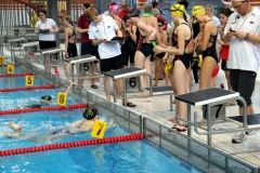 db_Nikolaus_Schwimmfest_2013_Nettebad_IMG_1424