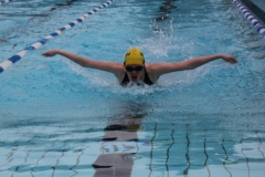 db_Sommerschwimmfest_Haselunne_2013_IMG_59951