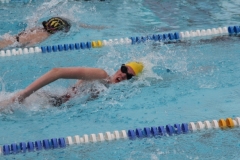 db_Sommerschwimmfest_Haselunne_2013_IMG_60191