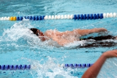 db_Sommerschwimmfest_Haselunne_2013_IMG_60501