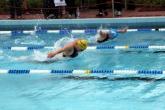 db_Sommerschwimmfest_Haselunne_2013_IMG_60741
