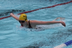 db_Sommerschwimmfest_Haselunne_2013_IMG_60841