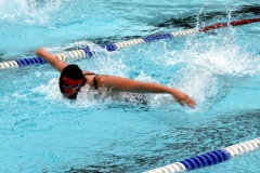 db_Sommerschwimmfest_Haselunne_2013_IMG_60881