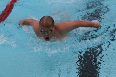 db_Sommerschwimmfest_Haselunne_2013_IMG_60941