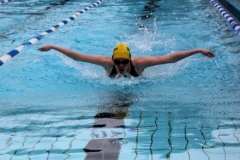 db_Sommerschwimmfest_Haselunne_2013_IMG_6110_neu1