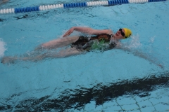 db_Sommerschwimmfest_Haselunne_2013_IMG_61131