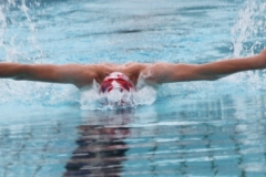 db_Sommerschwimmfest_Haselunne_2013_IMG_61191