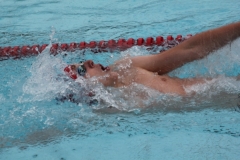 db_Sommerschwimmfest_Haselunne_2013_IMG_61211