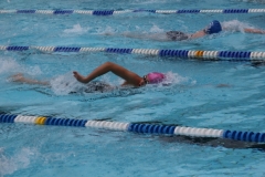 db_Sommerschwimmfest_Haselunne_2013_IMG_61681